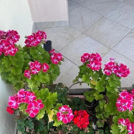 Casa Di Rebecca בית נופש מורתה מריה